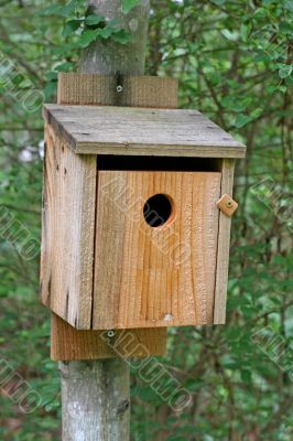Plank Birdhouse