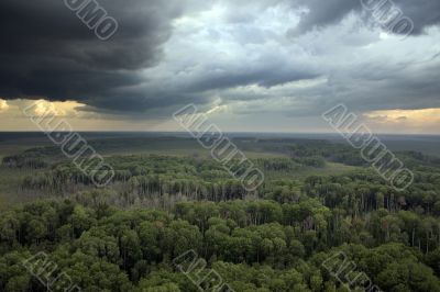 Clouds on taiga
