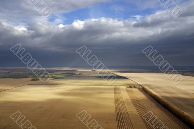 Flight on fields of the wheat