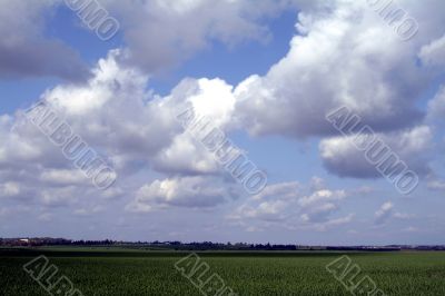 Background of sky and field