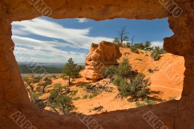 Nature window