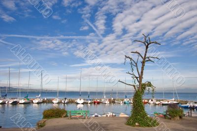Sailing vessels wait for tourists