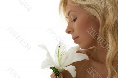madonna lily