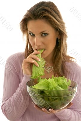 lettuce