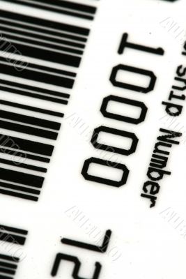 Credit Card