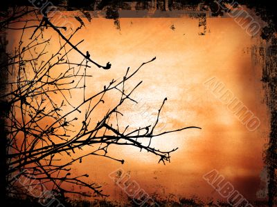 Winter Background