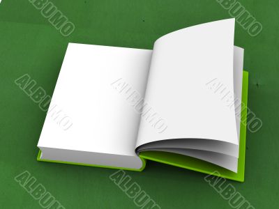 Opened book.