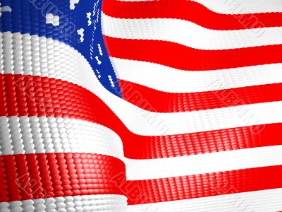 The American flag