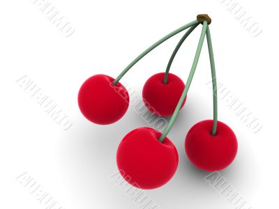 Cherry.