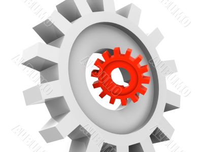 Gear