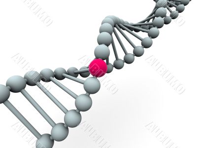 gene in DNA
