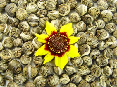 Cosmea on green tea