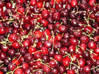 Cherry background