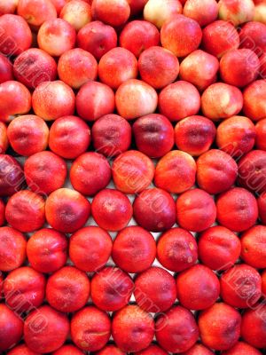 Apple background