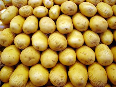 Potato background