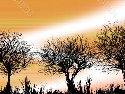 Winter Background