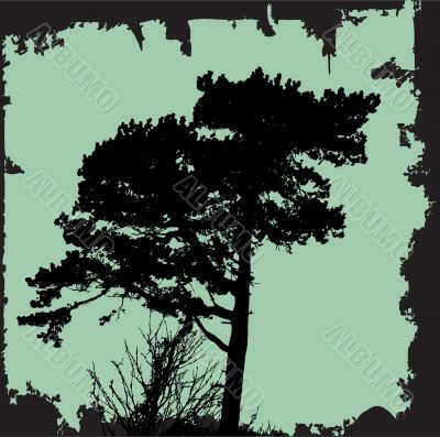 Tree Silhouette