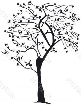 Tree silhouette