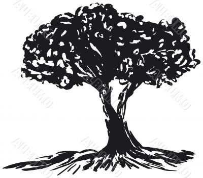 Tree silhouette