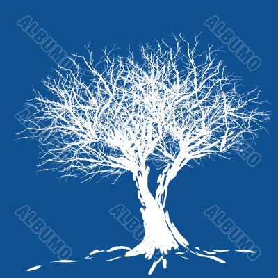 Tree silhouette