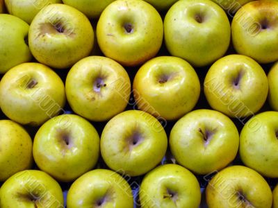 Apple background