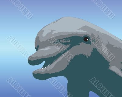 Cartoon Dolphin