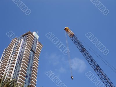 Crane