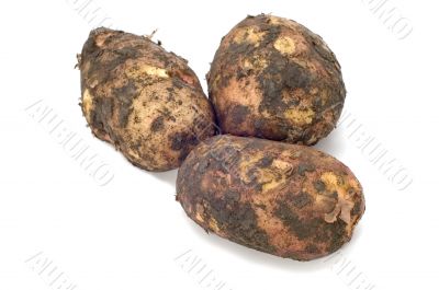 potatoes in their skin