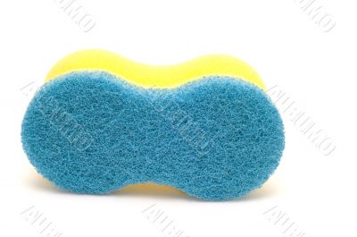 sponge