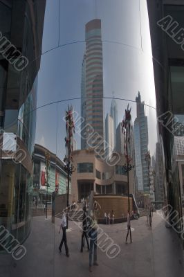 The reflected life
