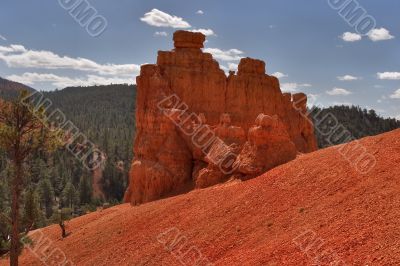 Red rocks