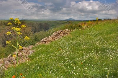 Blossoming Golan heights