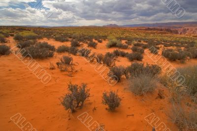 Red desert.