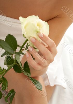 rosebud #2