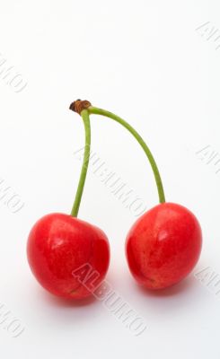 Two cherries on white background