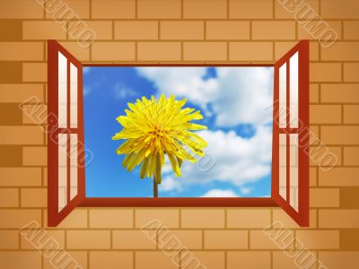 Window with dandelion