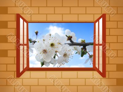 Window with spring blossom