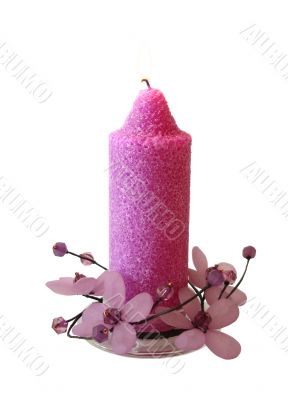 beautiful pink candle on white background