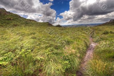 wild hdr landscape