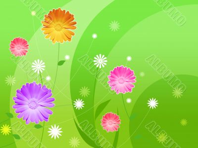  Beautiful wallpaper with flowers