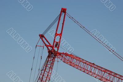 Red Crane Blue Sky