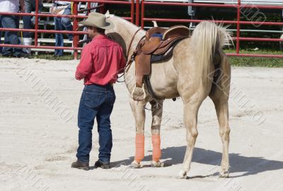 Horse and Cowboy