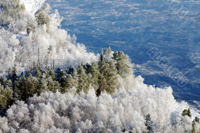 hoar-frost