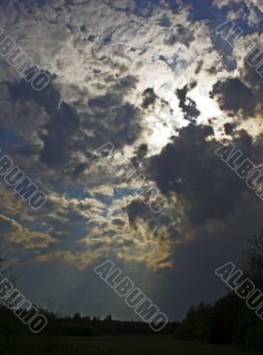Sunbeams