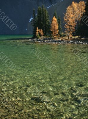 Lake Chester with autumn larches