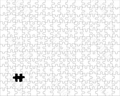 Pieces of the puzzle.