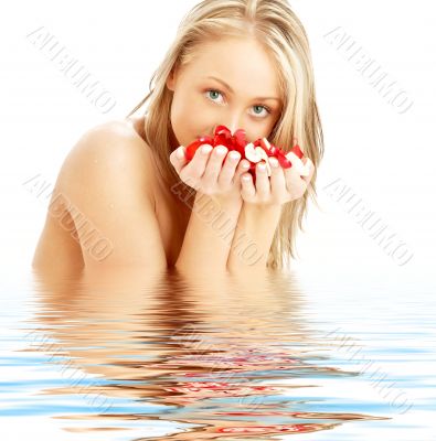 blond with red and white rose petals in water
