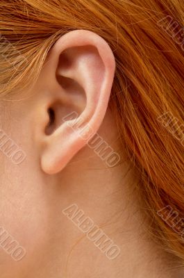 ear of redhead lady