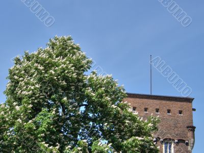 Wawel. Krakow. An ancient part of city.