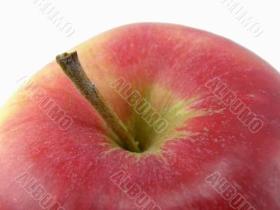 apple.